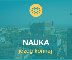 Nauka jazdy konnej