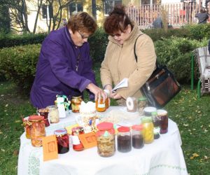 Uniwersytet ziemniakożerców