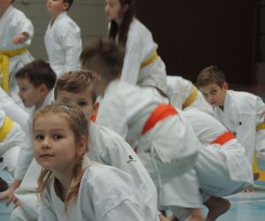 Sensei Taiga Horii szkolił w Gniewie