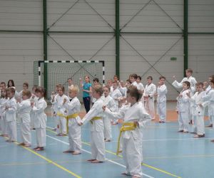 Sensei Taiga Horii szkolił w Gniewie