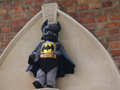 Bear Macius disguised as Batman