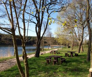 Lake in Rakowiec