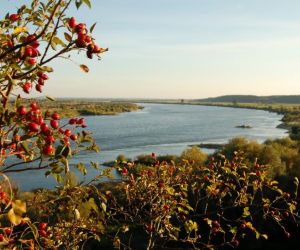 Vistula