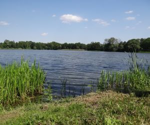 Lake in Pieniążkowo