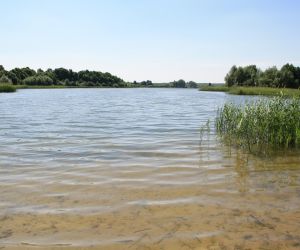 Lake in Jeleń