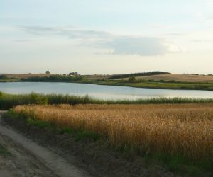 Lake in Tymawa