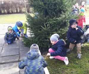 Zając w gniewskim przedszkolu