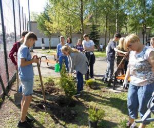 Święto drzewa- eko projekt gimnazjalistów