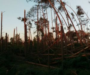 Gniewscy ochotnicy z pomocą poszkodowanym w nawałnicach