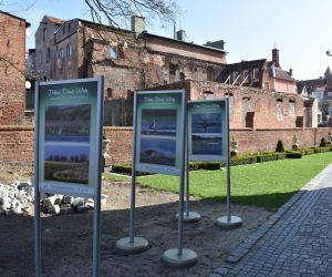 Urzekająca przyroda zachwyca przy gniewskim kościele