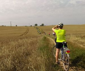 Powiśle i Kociewie rowerem