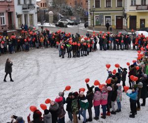 WOŚP w Gniewie wystartowała