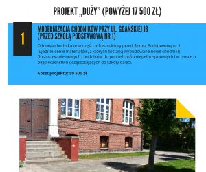 Projekt duży nr 1