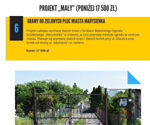 Projekt mały nr 6