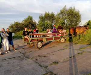 Noc Świętojańska w Opaleniu