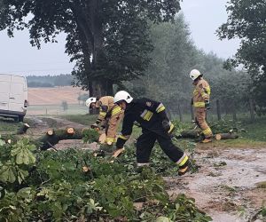 Skutki wczorajszych nawałnic - strażacy interweniowali kilkanaście razy