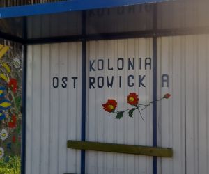 Przystanek Kolonia Ostrowicka