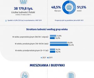 Infografika