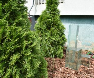 Piękne Miasto 2022 - kategoria ogródki przy blokach wielorodzinnych - I miejsce