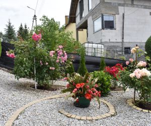 Piękne Miasto Gniew 2022 kategoria ogródki przy domkach...