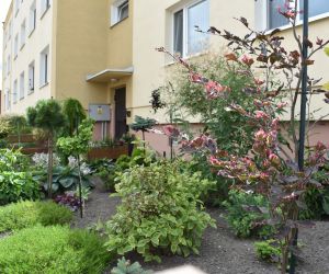 Piękne Miasto 2022 - kategoria ogródki przy blokach wielorodzinnych - II miejsce