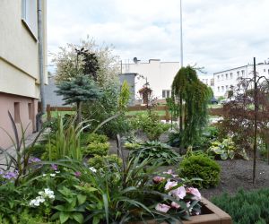 Piękne Miasto 2022 - kategoria ogródki przy blokach wielorodzinnych - II miejsce