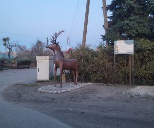 Nowy witacz w Jeleniu