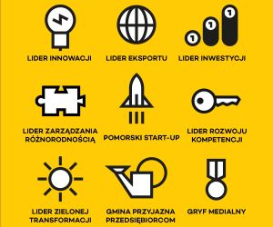Gryf Gospodarczy - kategorie