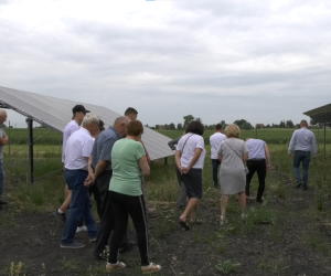 Farma fotowoltaiczna w Szprudowie