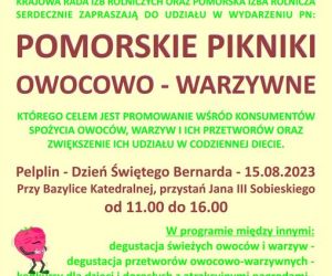 Piknik Pelplin - plakat