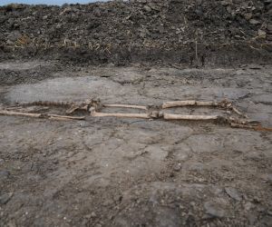 Ryc. 5. Grób mężczyzny z włócznią i ostrogą. Fot. S. Wadyl