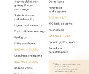 infografika