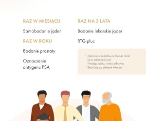 infografika