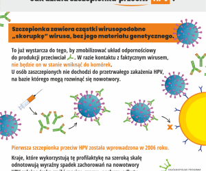 infografika