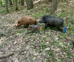 IV Mistrzostwa Województwa Pomorskiego  w Łucznictwie Terenowym 3D i Field