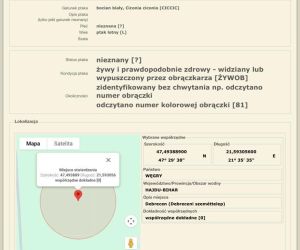 Bocian z Rakowca na wakacjach