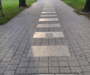 Aleja przedsiębiorców