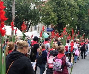 pielgrzymka z Nowego
