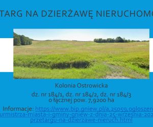 Kolonia Ostrowicka dz. nr 184.1, 184.2, 184.3