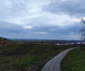 łaka nadwiślańska