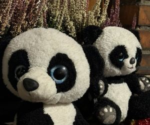 Gniew stroi się na święta