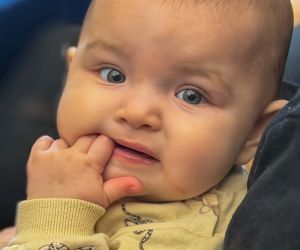 Witamy Danutę Krzyżanowski