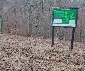 Czynna ochrona przyrody gminy Gniew