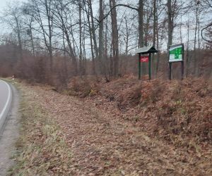 Czynna ochrona przyrody gminy Gniew