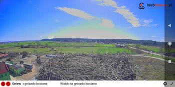 Monitoring bocianiego gniazda
