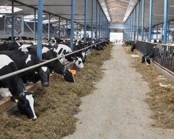 Modernizacja gospodarstw rolnych