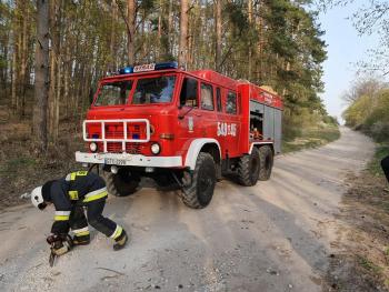 Silny wiatr dał się we znaki kierowcom