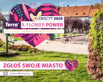 Plebiscyt na naipiękniej ukwiecone miasto