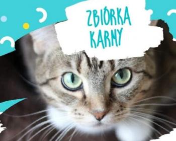 Zbiórka karmy dla zwierząt. Wspomóż naszych mniejszych braci!
