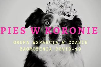 Pies w Koronie - dla Gniewu i okolic